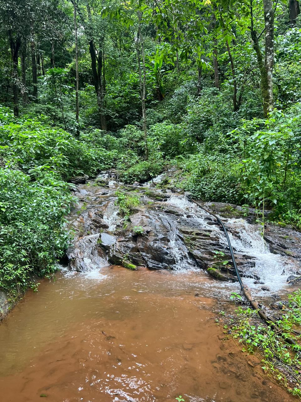 70 acre estate for sale in Chikkamgaluru